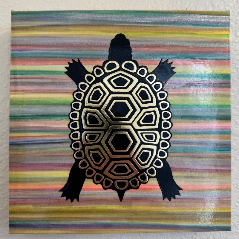 "Big Boy" the Tortoise